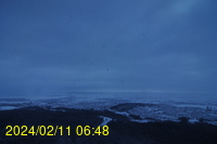 Img20240211_064816.jpg