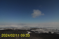 Img20240211_093316.jpg
