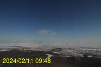 Img20240211_094816.jpg