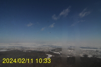 Img20240211_103317.jpg
