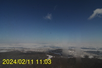 Img20240211_110317.jpg