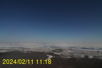 Img20240211_111817.jpg