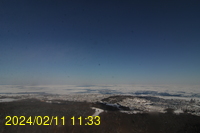 Img20240211_113317.jpg