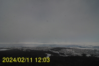 Img20240211_120317.jpg