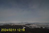 Img20240211_121817.jpg
