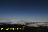 Img20240211_123317.jpg