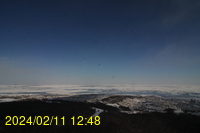 Img20240211_124817.jpg