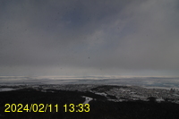 Img20240211_133317.jpg