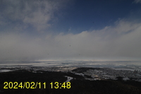 Img20240211_134817.jpg