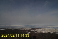 Img20240211_143317.jpg