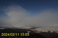 Img20240211_150317.jpg