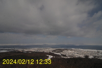 Img20240212_123319.jpg