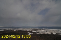 Img20240212_130320.jpg