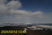 Img20240212_134820.jpg