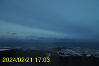 Img20240221_170344.jpg