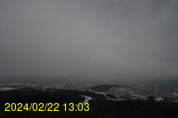 Img20240222_130346.jpg