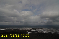 Img20240222_133346.jpg