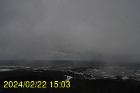 Img20240222_150346.jpg