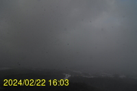 Img20240222_160346.jpg