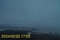 Img20240222_170347.jpg