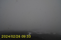 Img20240226_093355.jpg