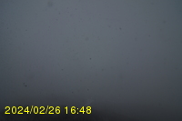 Img20240226_164856.jpg