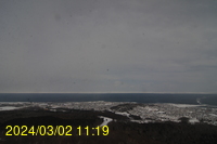 Img20240302_111908.jpg