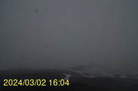 Img20240302_160408.jpg