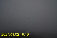 Img20240302_161908.jpg