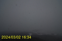 Img20240302_163408.jpg