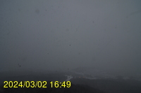 Img20240302_164908.jpg