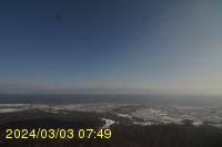 Img20240303_074910.jpg