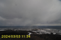 Img20240303_113410.jpg
