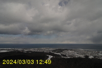 Img20240303_124910.jpg