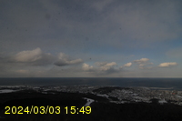 Img20240303_154911.jpg