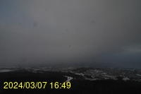Img20240307_164922.jpg