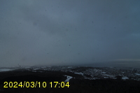 Img20240310_170430.jpg