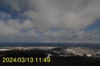 Img20240313_114938.jpg