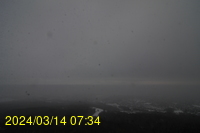 Img20240314_073441.jpg