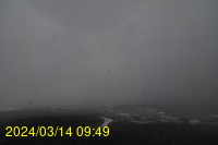 Img20240314_094941.jpg