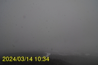 Img20240314_103441.jpg