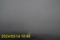 Img20240314_104941.jpg