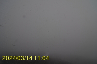 Img20240314_110441.jpg