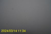 Img20240314_113441.jpg