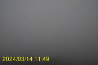 Img20240314_114941.jpg