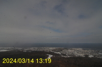 Img20240314_131941.jpg
