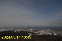 Img20240314_134941.jpg