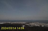 Img20240314_140441.jpg