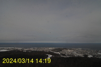 Img20240314_141941.jpg