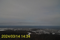Img20240314_143441.jpg